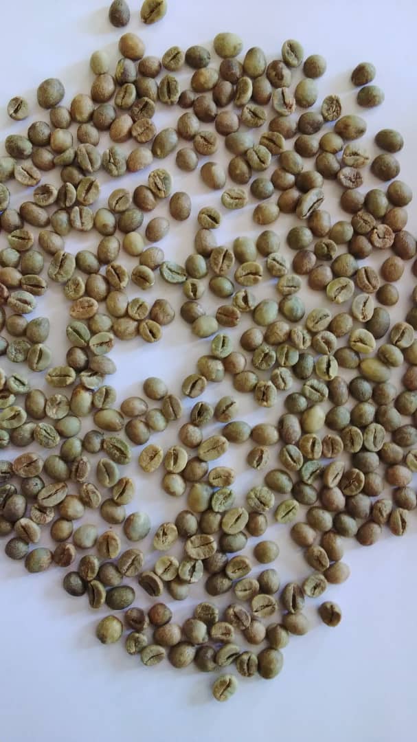 Shukrani Coffee - Green Arabica Beans (Washed)